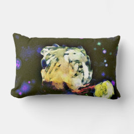 Envisionist: een hemelse reis kussen