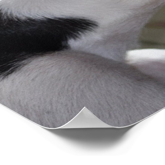 Enzo's nap poster (Hoek)