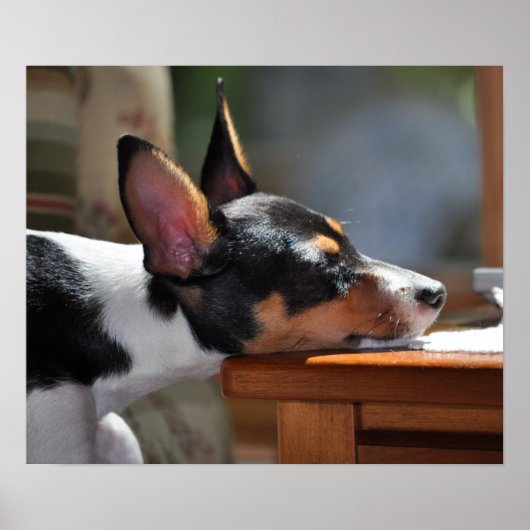 Enzo's nap poster (Voorkant)