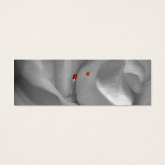 Eolische Waterverf Bladwijzer Mini Visitekaartjes (Voorkant)