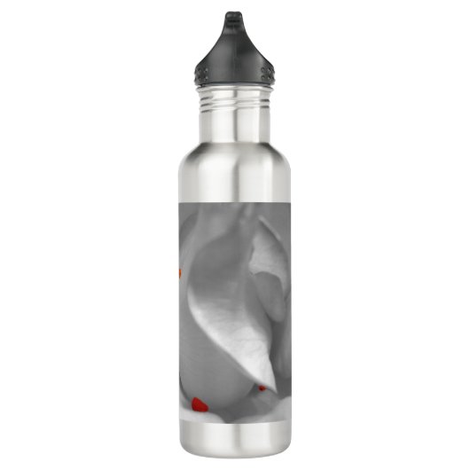 Eolische Waterverf Waterfles (Rechts)