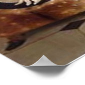 Eos, een favoriete kruit van prins Albert Poster (Hoek)