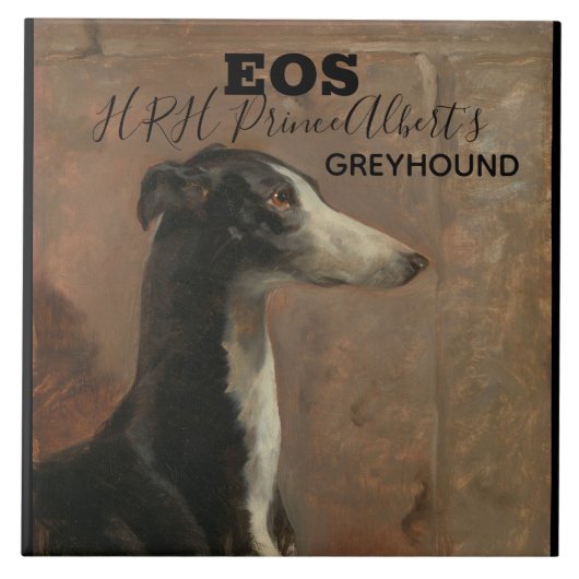  Eos Thomas Musgrave Joy Tegeltje (Voorkant)