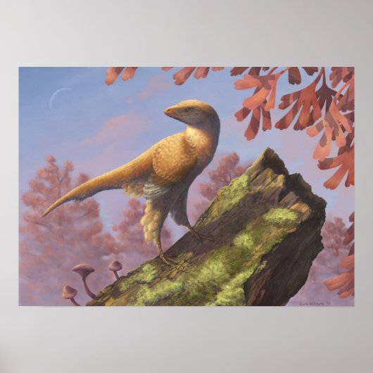 Eosinopteryx afdrukken poster (Voorkant)