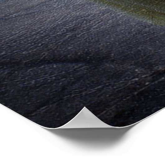 Eowyn met zwaard poster (Hoek)