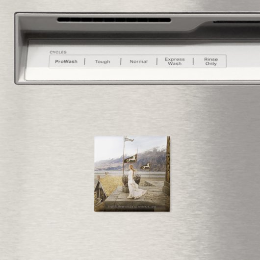 Eowyn over Castle Steps Magneet (Insitu (Vaatwasser))