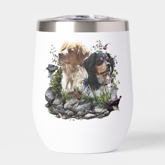 Epagneul Breton, Brittany Spaniel (Voorkant)