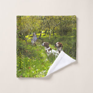 Epagneul Breton, Brittany Spaniel Bad Handdoek