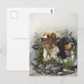 Epagneul Breton, Brittany Spaniel Briefkaart (Voorkant / Achterkant)