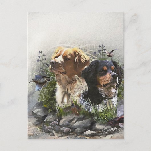 Epagneul Breton, Brittany Spaniel Briefkaart (Voorkant)