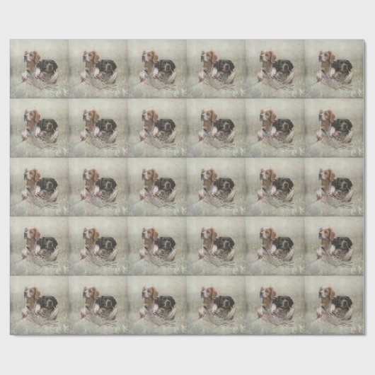 Epagneul Breton, Brittany Spaniel Cadeaupapier (Vlak)