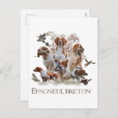 Epagneul Breton, Brittany Spaniel Feestdagenkaart (Voorkant / Achterkant)
