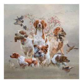 Epagneul Breton, Brittany Spaniel Foto Afdruk