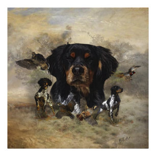 Epagneul Breton, Brittany Spaniel Foto Afdruk