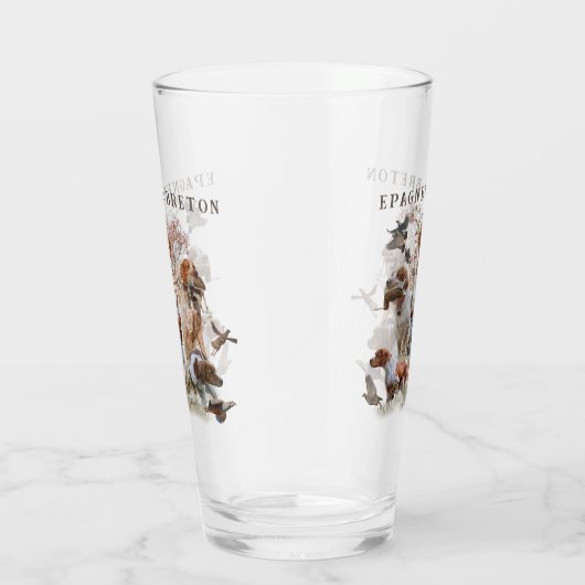 Epagneul Breton, Brittany Spaniel Glas (Rechts)