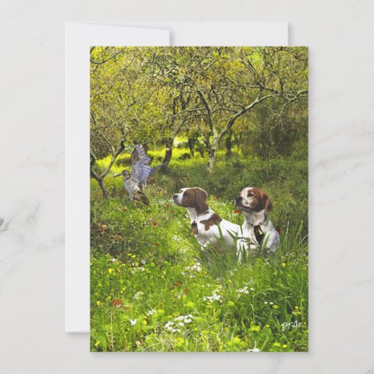 Epagneul Breton, Brittany Spaniel Kaart (Voorkant)