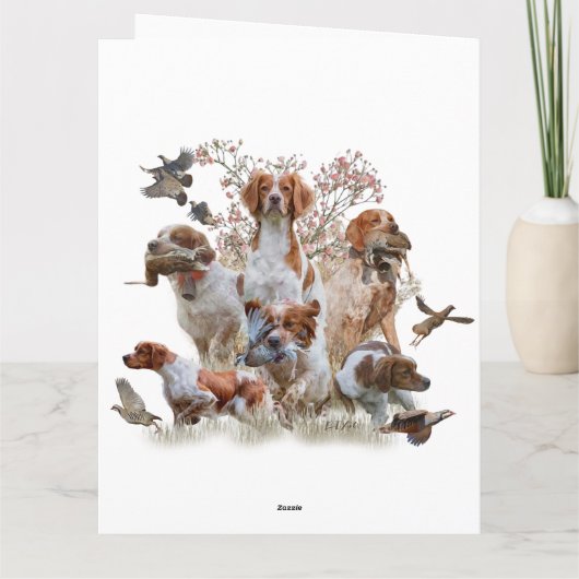 Epagneul Breton, Brittany Spaniel Kaart (Achterkant)