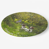 Epagneul Breton, Brittany Spaniel Papieren Bordje (Gekanteld)