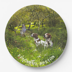 Epagneul Breton, Brittany Spaniel Papieren Bordje