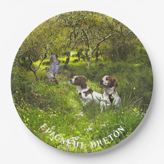 Epagneul Breton, Brittany Spaniel Papieren Bordje (Voorkant)