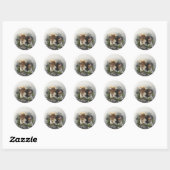 Epagneul Breton, Brittany Spaniel Ronde Sticker (Vel)