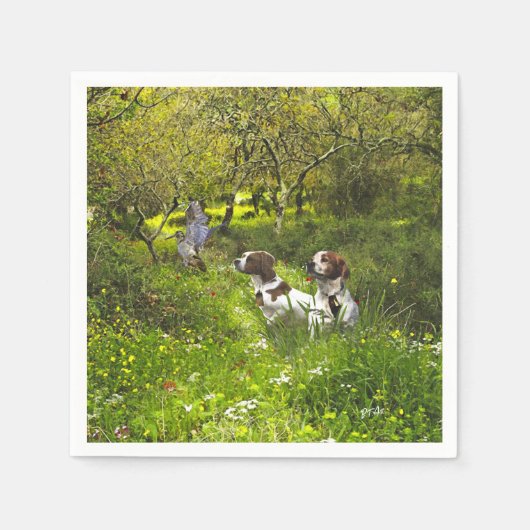 Epagneul Breton, Brittany Spaniel Servet (Voorkant)