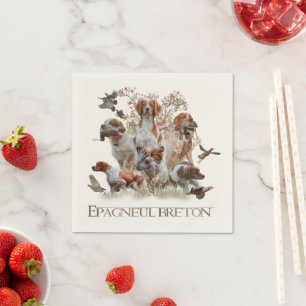 Epagneul Breton, Brittany Spaniel Servet