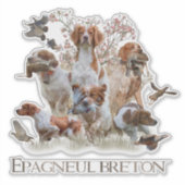 Epagneul Breton, Brittany Spaniel Sticker (Voorkant)