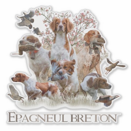 Epagneul Breton, Brittany Spaniel Sticker (Voorkant)