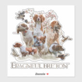 Epagneul Breton, Brittany Spaniel Sticker (Vel)