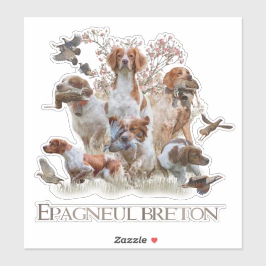 Epagneul Breton, Brittany Spaniel Sticker (Vel)