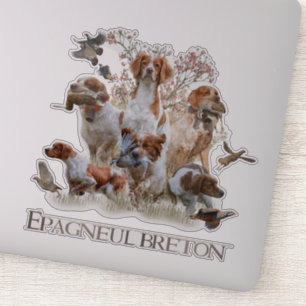 Epagneul Breton, Brittany Spaniel Sticker
