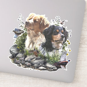Epagneul Breton, Brittany Spaniel Sticker