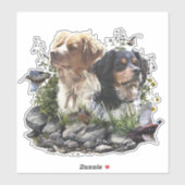 Epagneul Breton, Brittany Spaniel Sticker (Vel)