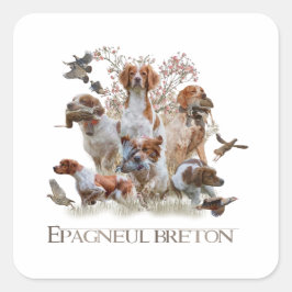 Epagneul Breton, Brittany Spaniel Vierkante Sticker