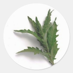 Epazote Ronde Sticker