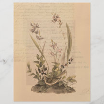 Ephemera 5 plakboekpapier