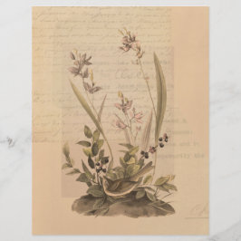 Ephemera 5 plakboekpapier