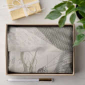 Ephemera-ballonvaardig weefsel tissuepapier (Geschenk)