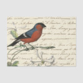 Ephemera Bird and Script Tissuepapier (Voorkant)