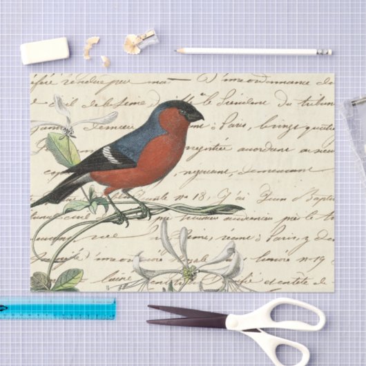 Ephemera Bird and Script Tissuepapier (Craft)