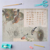  Ephemera Bird Nest Eggs Script Decoupage 2 Tissuepapier (Craft)