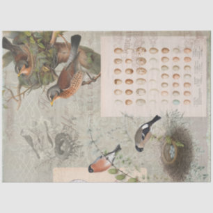 Ephemera Bird Nest Eggs Script Decoupage 2 Tissuepapier