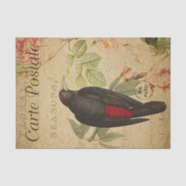 Ephemera Black Red Bird roze Roses ontkoppeling Tissuepapier