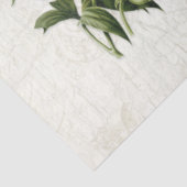 Ephemera Botanische Vogels Bloemen Decoupage Tissuepapier (Detail)