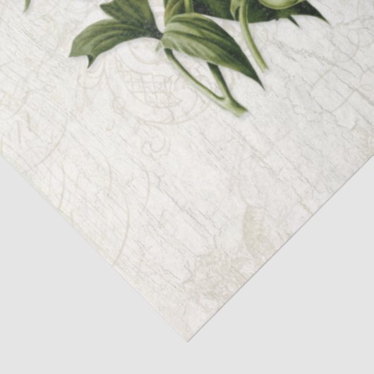 Ephemera Botanische Vogels Bloemen Decoupage Tissuepapier (Detail)