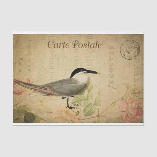 Ephemera Briefkaart Cute Bird Decoupage Tissuepapier (Voorkant)