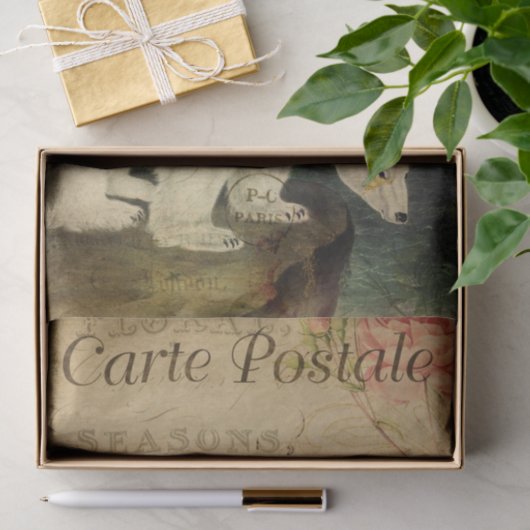 Ephemera Briefkaart Polar Beer Tissuepapier (Geschenk)