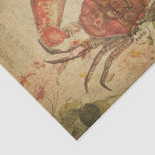 Ephemera Briefkaart Tasmanian Crab Tissuepapier (Detail)