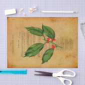 Ephemera Christelijk Song A Babe ontkoppeld Tissuepapier (Craft)